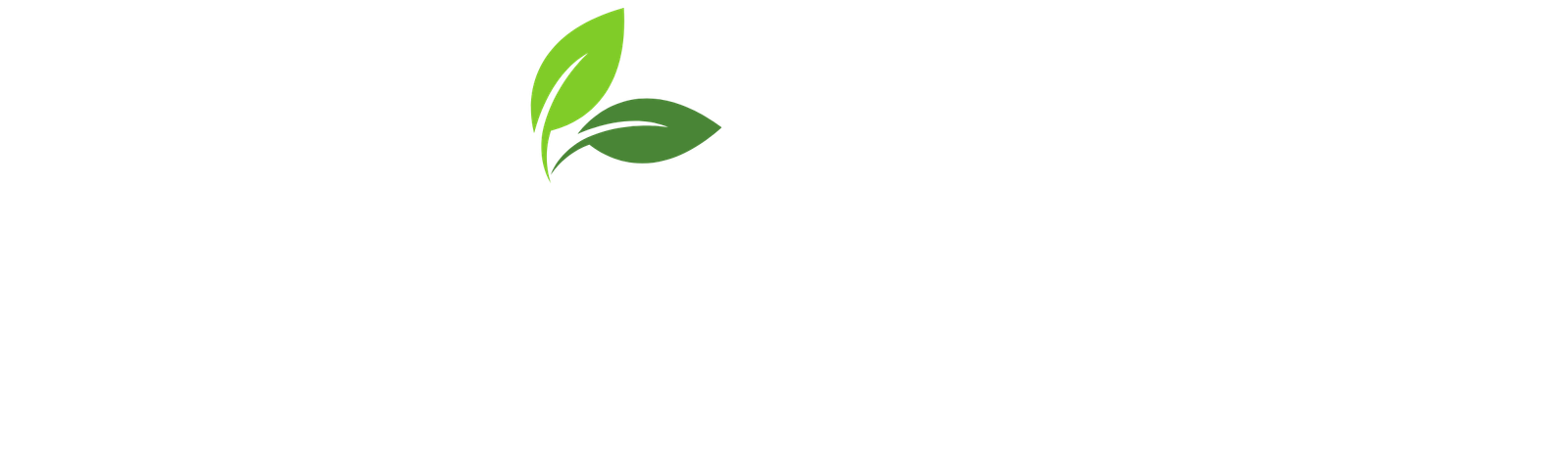 Sustainica Logo Yaprak Animasyonu